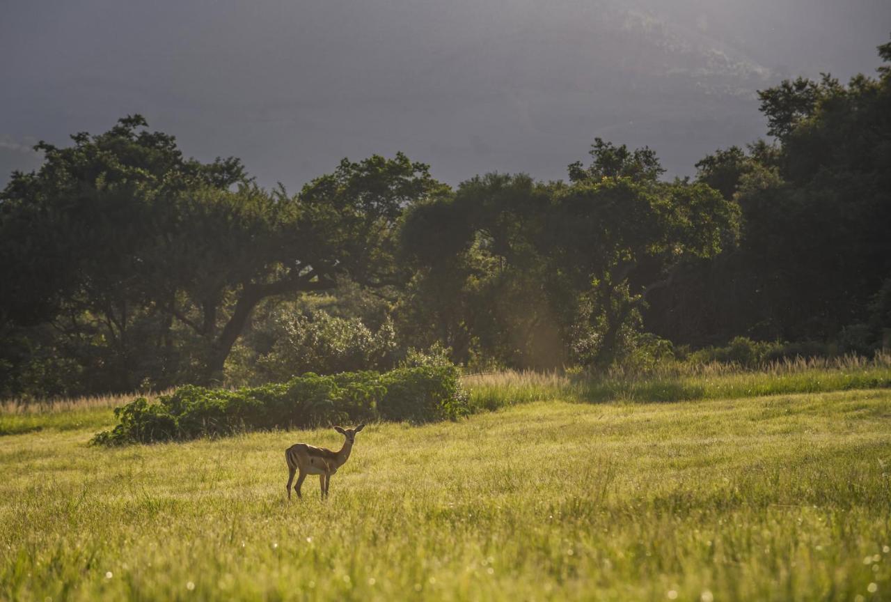 Caracal Lodge Alkmaar 외부 사진